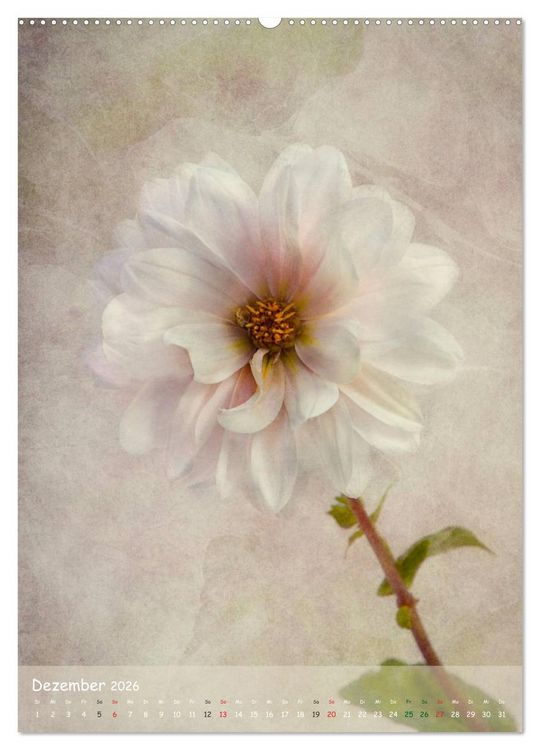 Produktbild: Blumengefl&uuml;ster (hochwertiger Premium Wandkalender 2026 DIN A2 hoch), Kunstdruck in Hochglanz