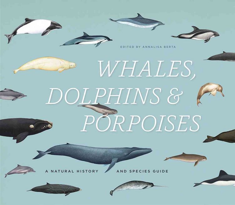 Produktbild: Whales, Dolphins & Porpoises
