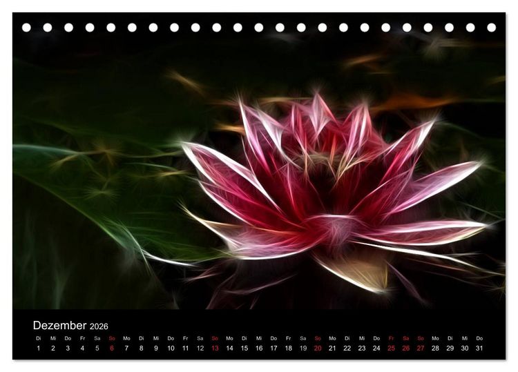 Produktbild: Floral Abstrakt 2026 (Tischkalender 2026 DIN A5 quer), CALVENDO Monatskalender