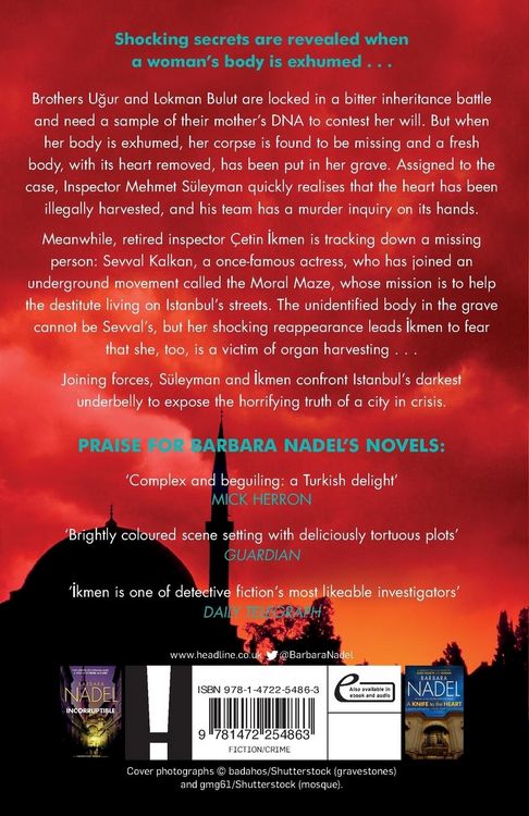 Produktbild: Blood Business (Ikmen Mystery 22)