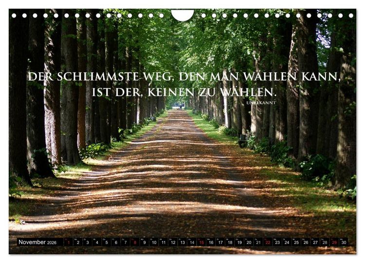 Produktbild: Weisheiten, Zitate und Spr&uuml;che - Ein Jahr voller Gedanken 2026 (Wandkalender 2026 DIN A4 quer), CALVENDO Monatskalender