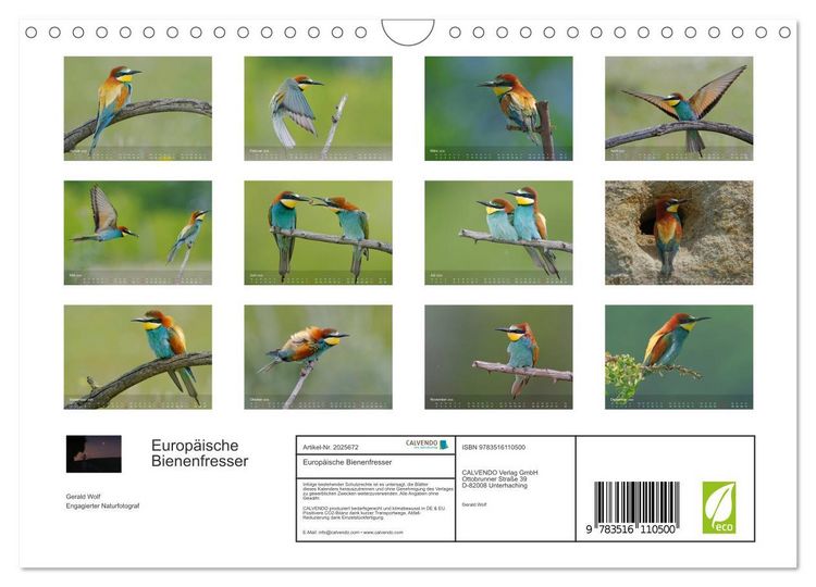 Produktbild: Europ&auml;ische Bienenfresser (Wandkalender 2026 DIN A4 quer), CALVENDO Monatskalender