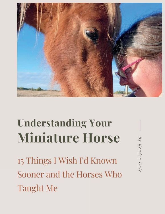 Produktbild: Understanding Your Miniature Horse