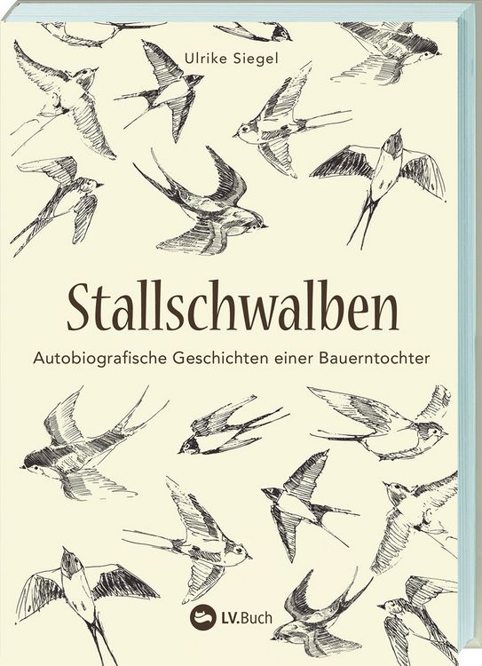 Produktbild: Stallschwalben