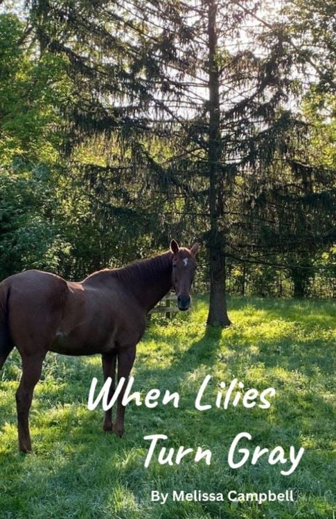 Produktbild: When Lilies Turn Gray
