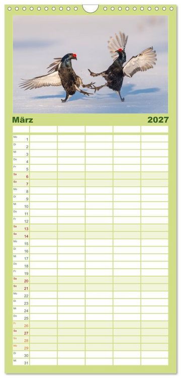 Produktbild: Familienplaner 2027 - Emotionale Momente: Wild und Jagd. mit 5 Spalten (Wandkalender, 21 x 45 cm) CALVENDO