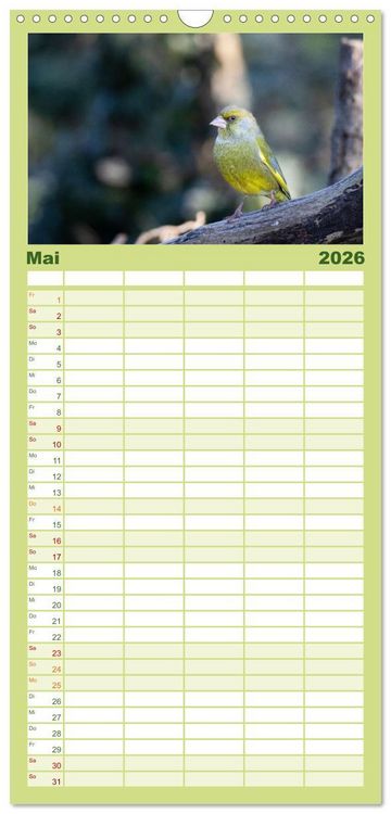 Produktbild: Familienplaner 2026 - Der Kernbei&szlig;er und seine gefiederten Gesellen mit 5 Spalten (Wandkalender, 21 x 45 cm) CALVENDO
