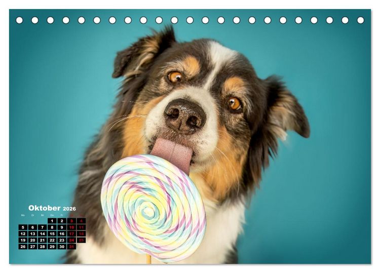 Produktbild: S&uuml;&szlig;e Schnauzen (Tischkalender 2026 DIN A5 quer), CALVENDO Monatskalender