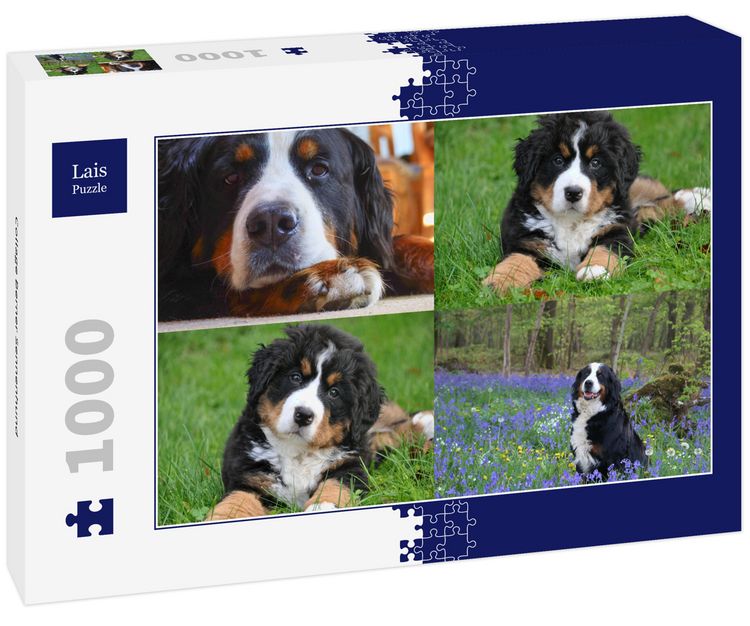 Produktbild: Lais Puzzle Collage Berner Sennenhund 1000 Teile