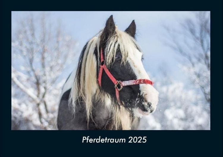 Produktbild: Pferdetraum 2025 Fotokalender DIN A4