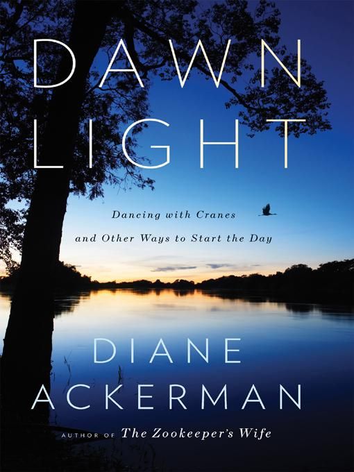 Produktbild: Dawn Light