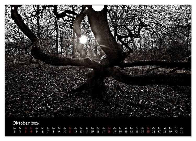 Produktbild: R&uuml;gen in schwarz-wei&szlig; (Wandkalender 2026 DIN A4 quer), CALVENDO Monatskalender