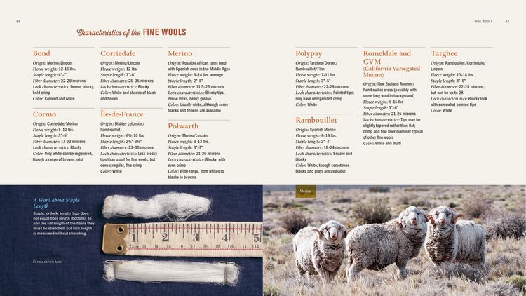 Produktbild: The Spinner's Book of Fleece