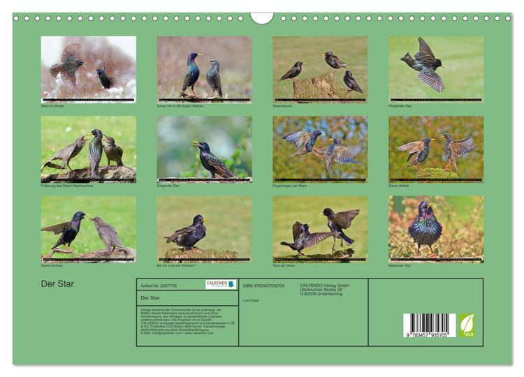 Produktbild: Der Star (Wandkalender 2026 DIN A3 quer), CALVENDO Monatskalender