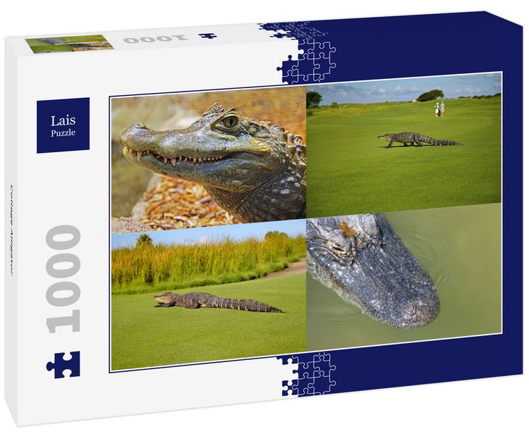 Produktbild: Lais Puzzle Collage Alligator 1000 Teile