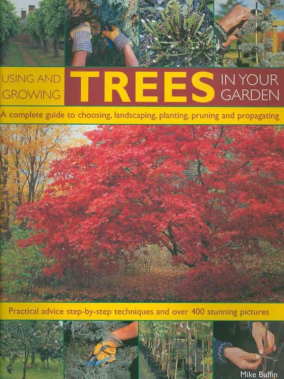 Produktbild: Using and Growing Trees in Your Garden
