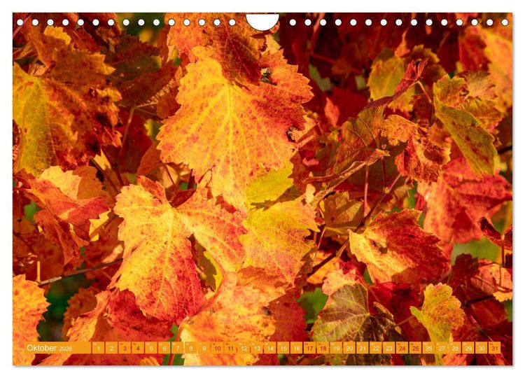 Produktbild: Indian Summer in Baden-W&uuml;rttemberg (Wandkalender 2026 DIN A4 quer), CALVENDO Monatskalender