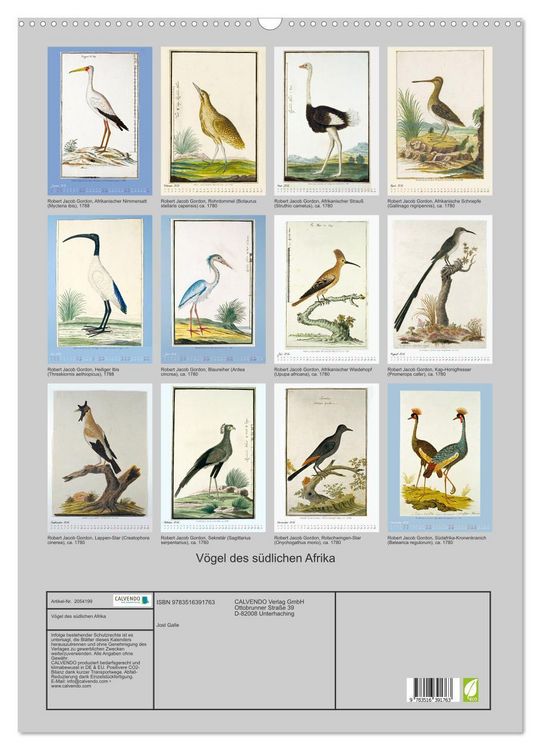 Produktbild: V&ouml;gel des s&uuml;dlichen Afrika (Wandkalender 2026 DIN A2 hoch), CALVENDO Monatskalender