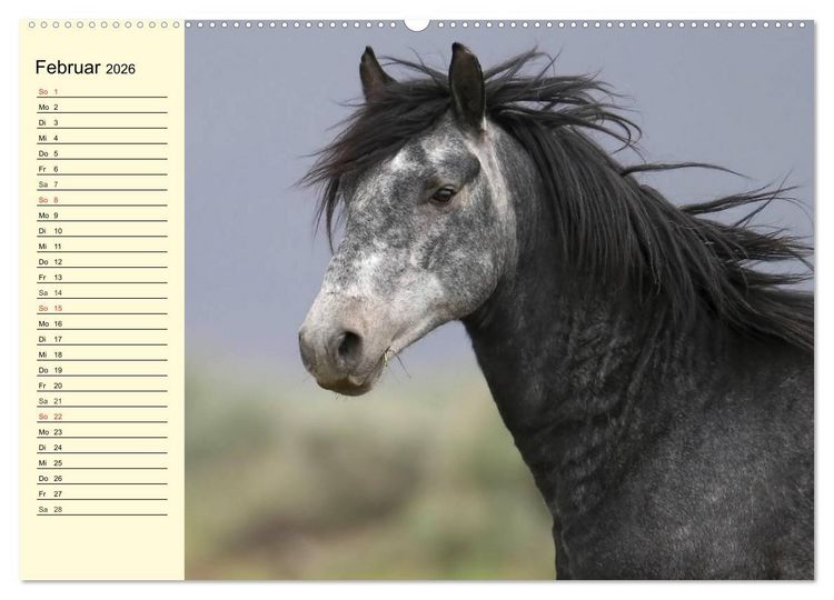 Produktbild: Wilde Pferde. Mustangs in USA (hochwertiger Premium Wandkalender 2026 DIN A2 quer), Kunstdruck in Hochglanz