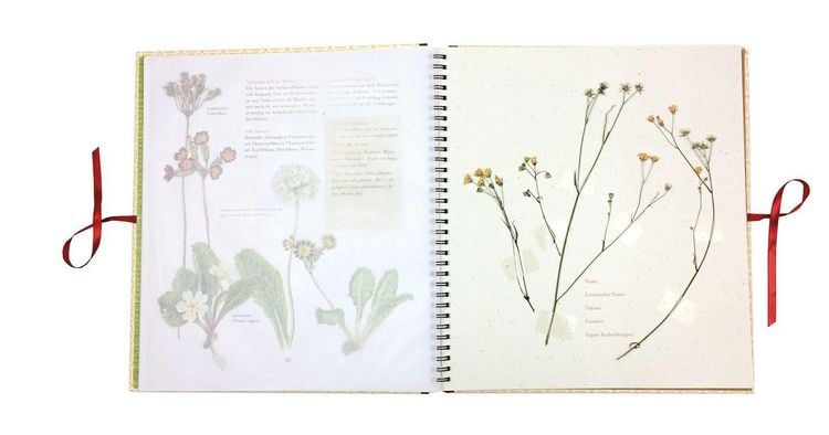 Produktbild: Auf der Hummelwiese &ndash; Das gro&szlig;e Herbarium