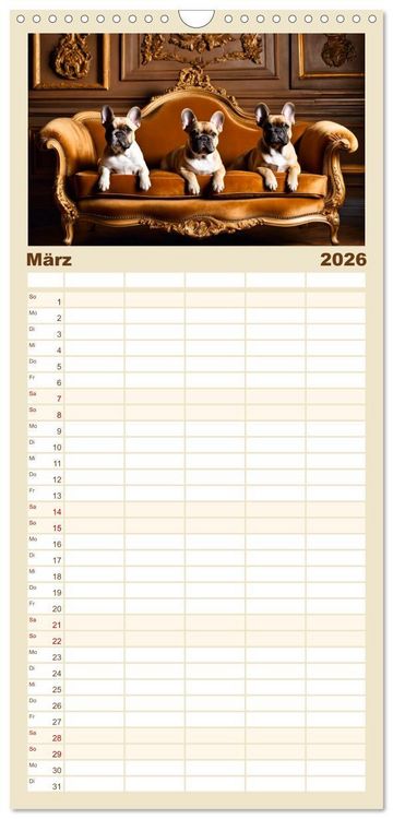 Produktbild: Familienplaner 2026 - Kleine K&ouml;nige - Franz&ouml;sische Bulldoggen mit 5 Spalten (Wandkalender, 21 x 45 cm) CALVENDO