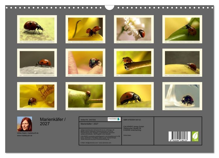 Produktbild: Marienk&auml;fer / 2027 (Wandkalender 2027 DIN A3 quer), CALVENDO Monatskalender