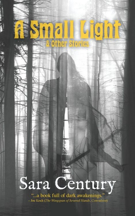 Produktbild: A Small Light & Other Stories