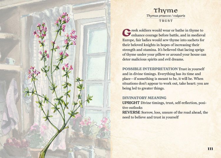 Produktbild: The Herbalist's Oracle