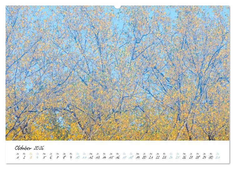 Produktbild: In der Welt der B&auml;ume (hochwertiger Premium Wandkalender 2026 DIN A2 quer), Kunstdruck in Hochglanz
