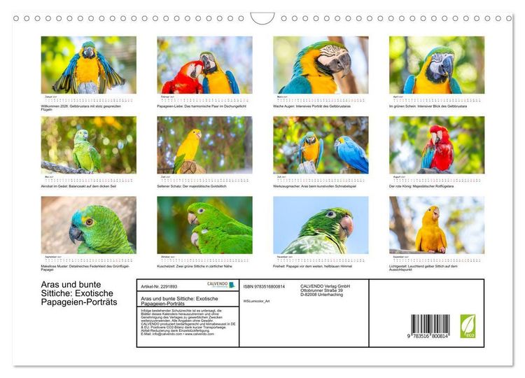 Produktbild: Aras und bunte Sittiche: Exotische Papageien-Portr&auml;ts (Wandkalender 2027 DIN A3 quer), CALVENDO Monatskalender