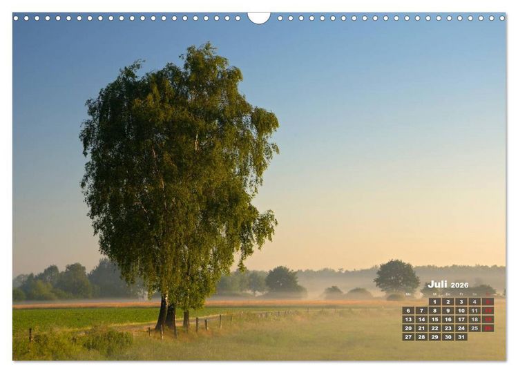 Produktbild: Die Dingdener Heide im Wandel der Jahreszeiten (Wandkalender 2026 DIN A3 quer), CALVENDO Monatskalender