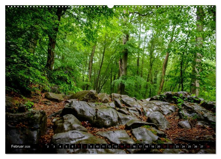 Produktbild: Wege des einfachen Gl&uuml;cks - Spazierg&auml;nge im Wald (hochwertiger Premium Wandkalender 2026 DIN A2 quer), Kunstdruck in Hochglanz