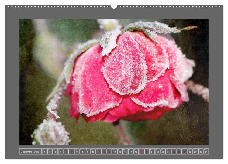 Produktbild: Blumen f&uuml;r dich (Wandkalender 2026 DIN A2 quer), CALVENDO Monatskalender
