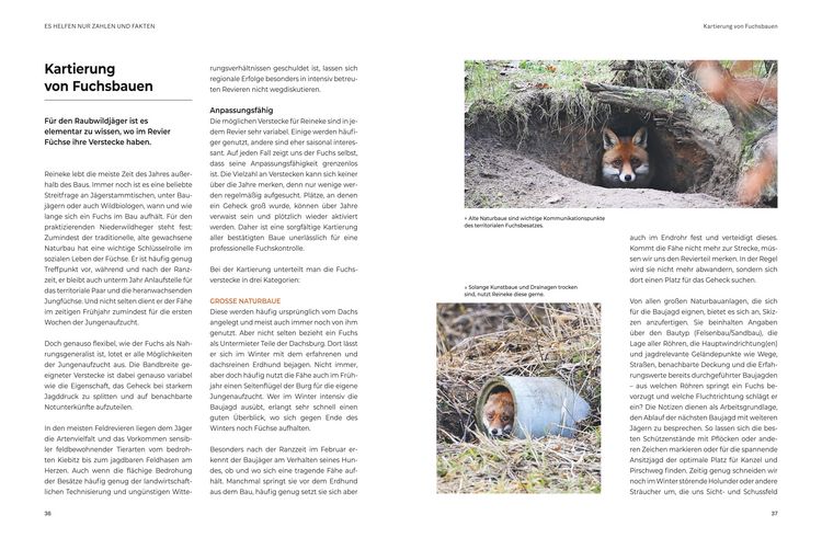 Produktbild: Das gro&szlig;e BLV Handbuch Niederwild