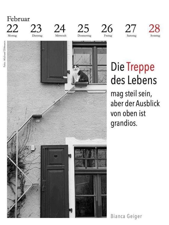 Produktbild: Der literarische Katzenkalender 2027