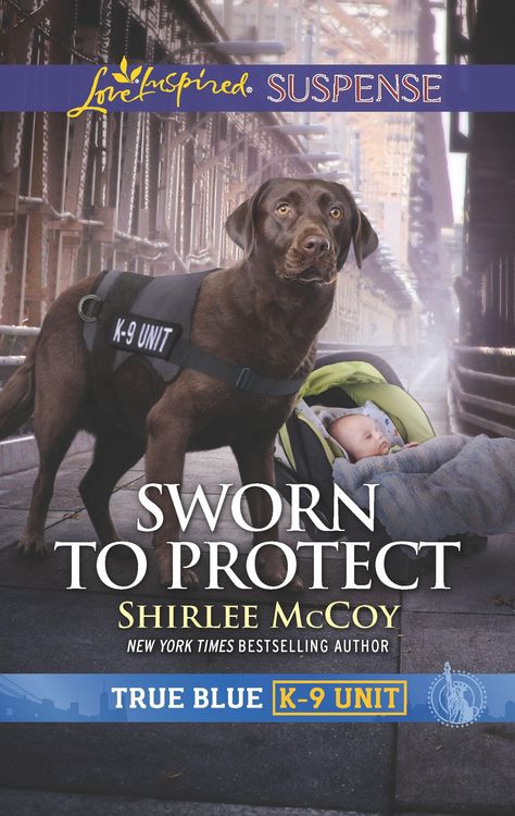 Produktbild: Sworn to Protect