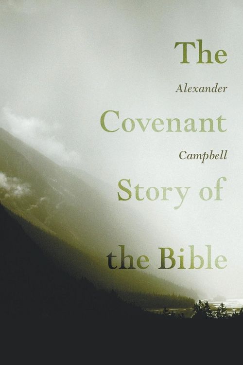 Produktbild: The Covenant Story of the Bible