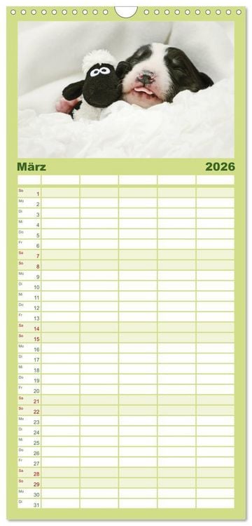 Produktbild: Familienplaner 2026 - Der Bordercollie-Kalender mit 5 Spalten (Wandkalender, 21 x 45 cm) CALVENDO