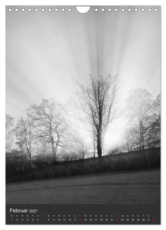 Produktbild: Natur in Schwarz und Wei&szlig; (Wandkalender 2027 DIN A4 hoch), CALVENDO Monatskalender