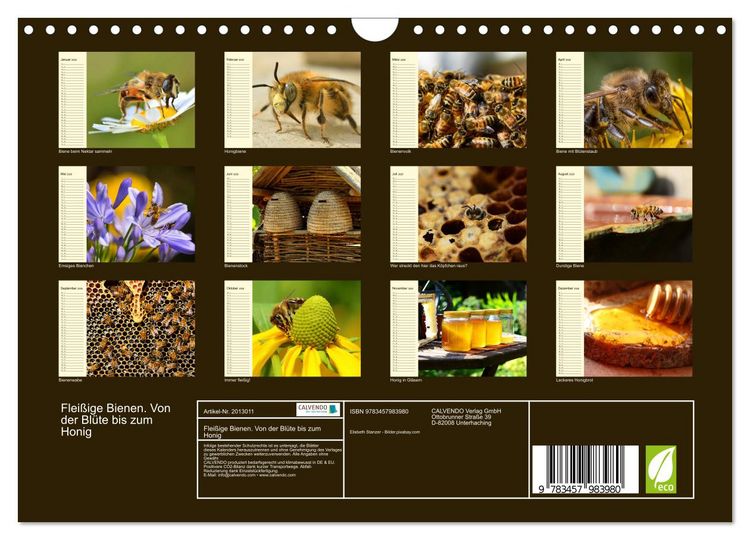 Produktbild: Flei&szlig;ige Bienen. Von der Bl&uuml;te bis zum Honig (Wandkalender 2026 DIN A4 quer), CALVENDO Monatskalender