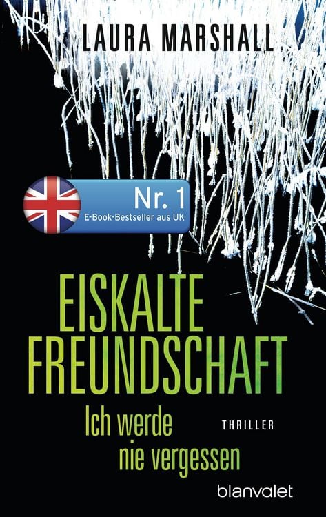 Produktbild: Eiskalte Freundschaft - Ich werde nie vergessen