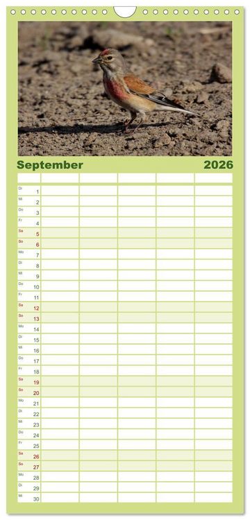Produktbild: Familienplaner 2026 - Die farbenfrohe Welt der Finken mit 5 Spalten (Wandkalender, 21 x 45 cm) CALVENDO