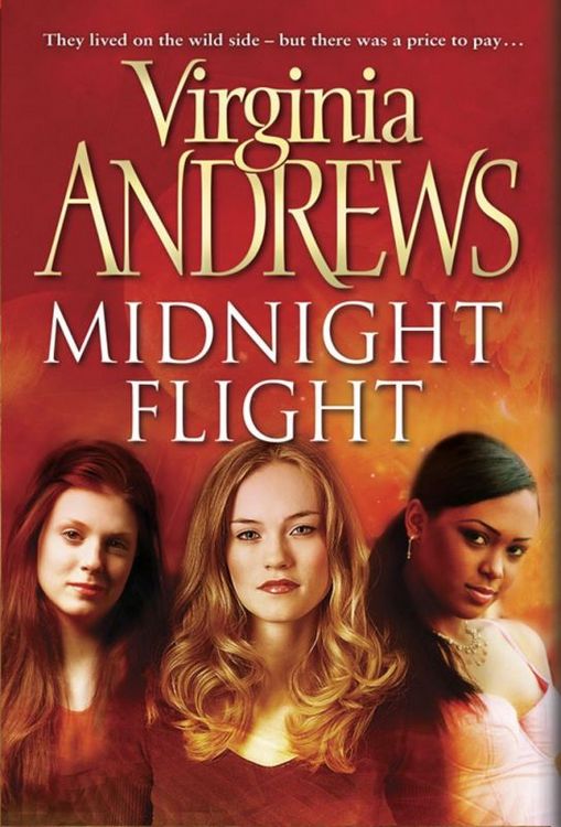 Produktbild: Midnight Flight