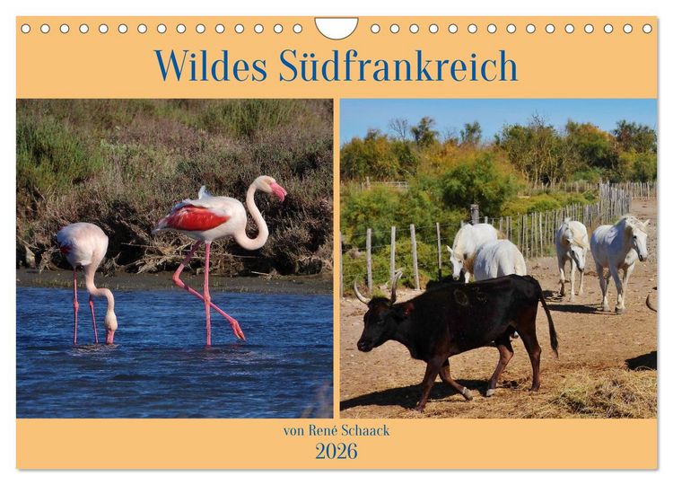 Produktbild: Wildes S&uuml;dfrankreich (Wandkalender 2026 DIN A4 quer), CALVENDO Monatskalender
