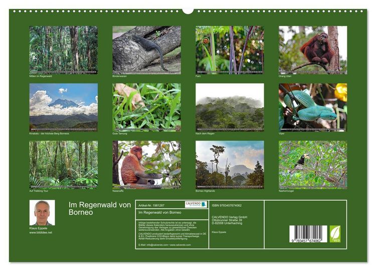 Produktbild: Im Regenwald von Borneo (hochwertiger Premium Wandkalender 2026 DIN A2 quer), Kunstdruck in Hochglanz