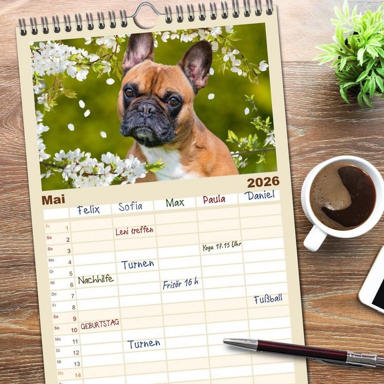 Produktbild: Familienplaner 2026 - Kleine Helden - Franz&ouml;sische Bulldoggen mit 5 Spalten (Wandkalender, 21 x 45 cm) CALVENDO