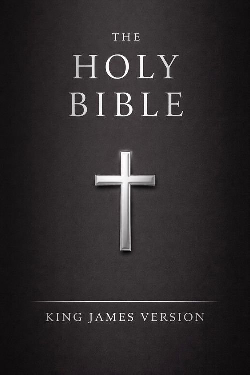 Produktbild: Holy Bible - King James Version - New & Old Testaments: E-Reader Formatted KJV w/ Easy Navigation (ILLUSTRATED)