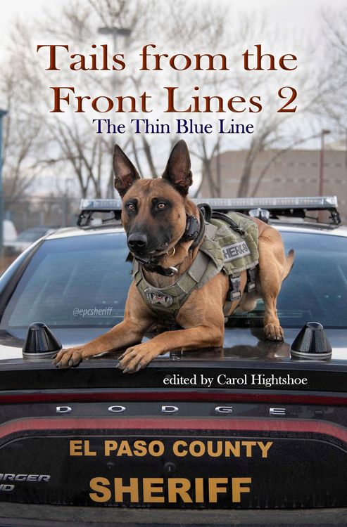 Produktbild: Tails From the Front Lines 2: The Thin Blue Line