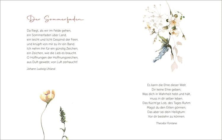 Produktbild: Die sch&ouml;nsten Blumen bl&uuml;hen f&uuml;r die, die sie sehen