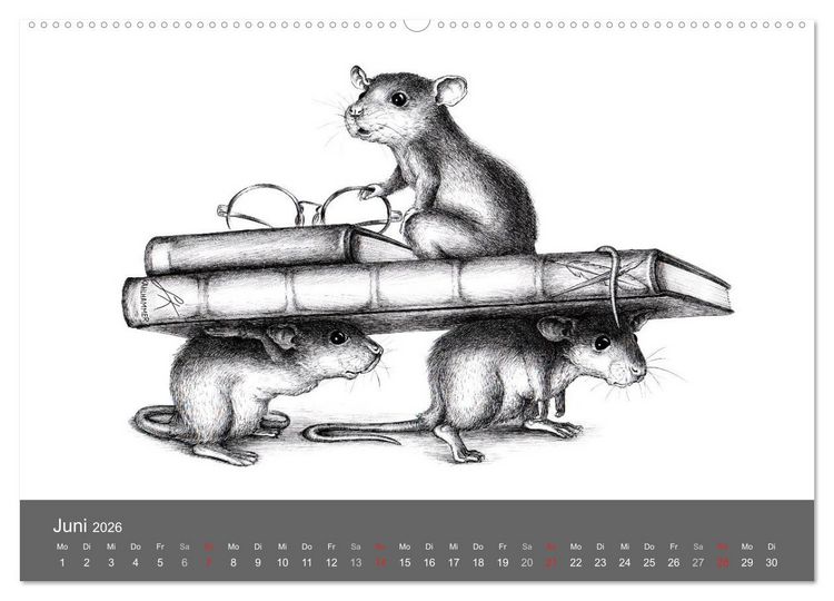 Produktbild: owls & friends 2026 (hochwertiger Premium Wandkalender 2026 DIN A2 quer), Kunstdruck in Hochglanz